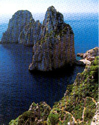 Capri I faraglioni